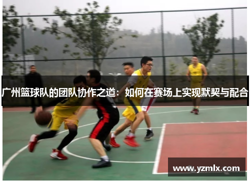广州篮球队的团队协作之道：如何在赛场上实现默契与配合